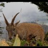 20140826_0177